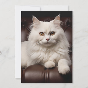 Majestic white cat thank you card
