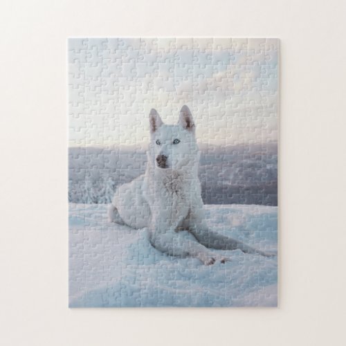 Majestic White Husky Dog Jigsaw Puzzle