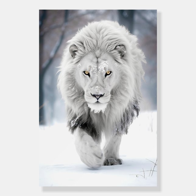 Majestic White Lion in Winter Wonderland Design Foam Board (Front)