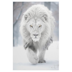 Majestic White Lion in Winter Wonderland Design Gallery Wrap