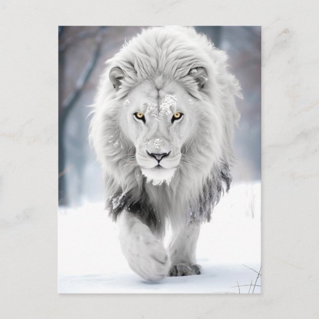 Majestic White Lion in Winter Wonderland Design Postcard (Front)