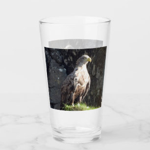 Majestic White Tailed Eagle Rugged Cliffside Wild Glass