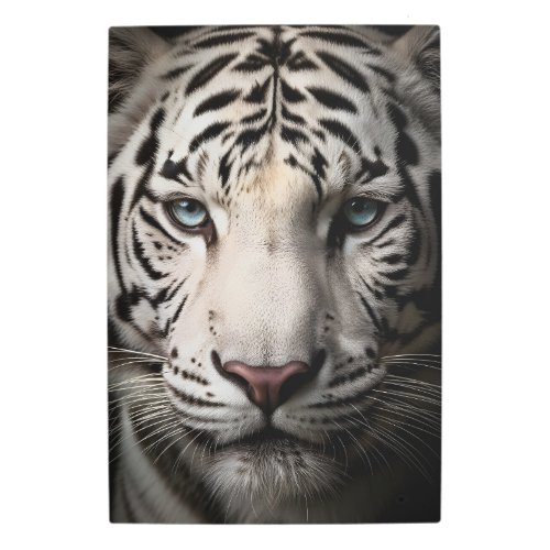 Majestic White Tiger Portrait with Blue Eyes Metal Print
