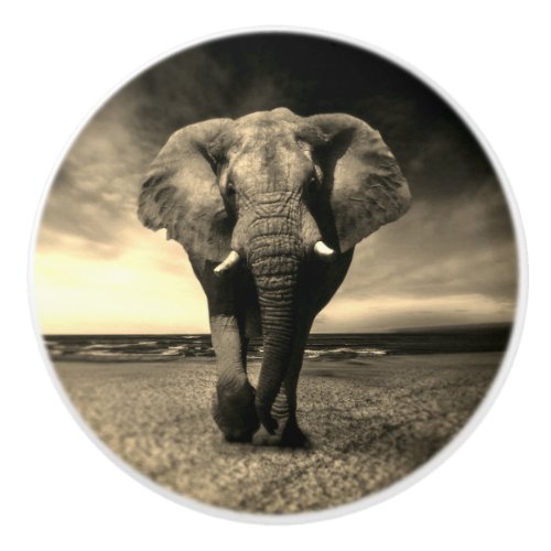 Majestic Wild Bull Elephant in Sepia Ceramic Knob