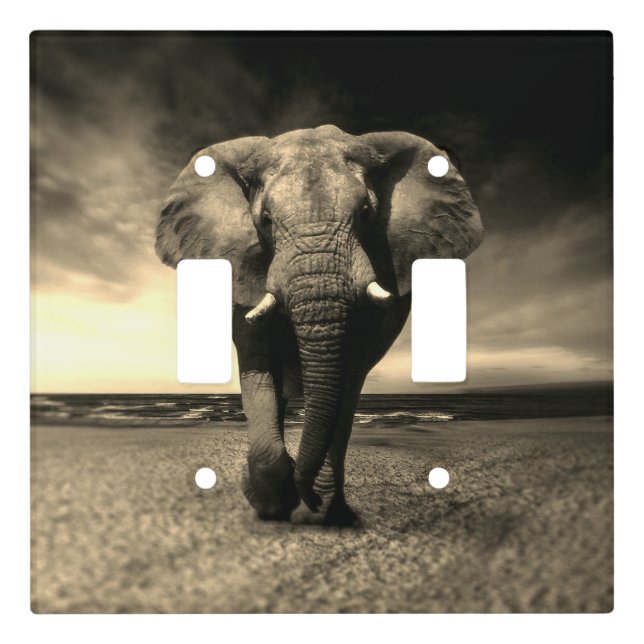 Majestic Wild Bull Elephant in Sepia Light Switch Cover (Front)