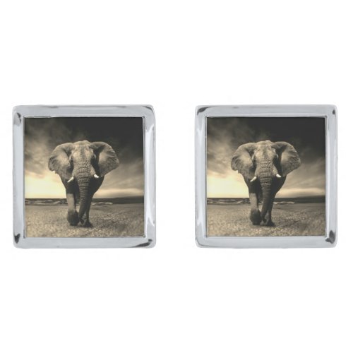 Majestic Wild Bull Elephant in Sepia Silver Cufflinks
