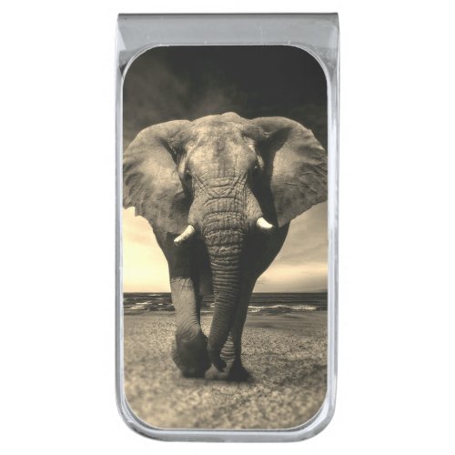 Majestic Wild Bull Elephant in Sepia Silver Finish Money Clip