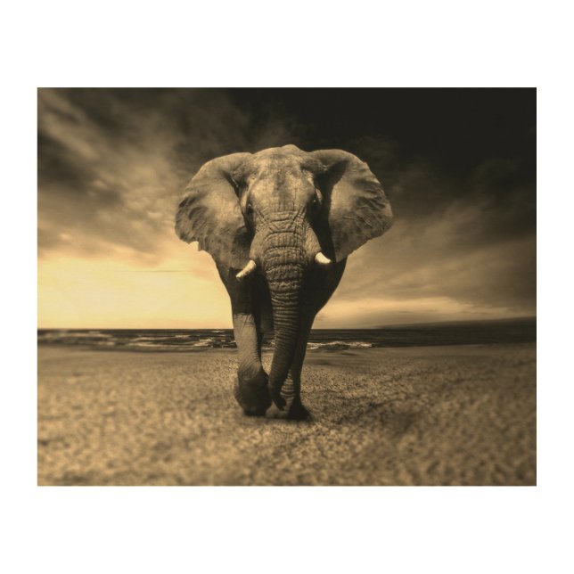 Majestic Wild Bull Elephant in Sepia Wood Wall Art (Front)