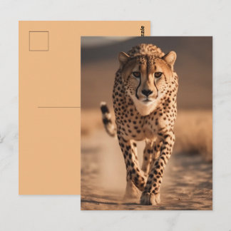 Majestic Wild Cheetah Running Photo Postcard