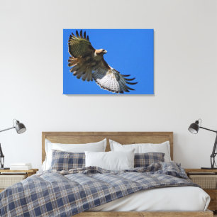 Majestic Wings Canvas Print