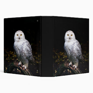 Majestic winter snowy owl 3 ring binder