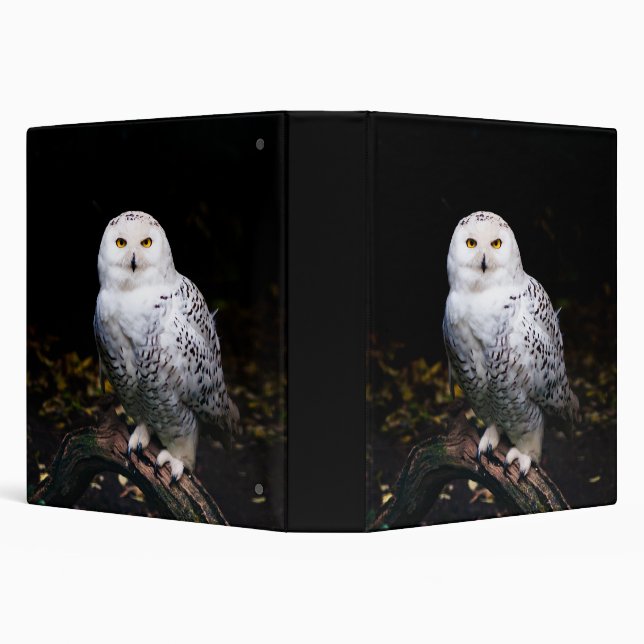 Majestic winter snowy owl 3 ring binder (Background)