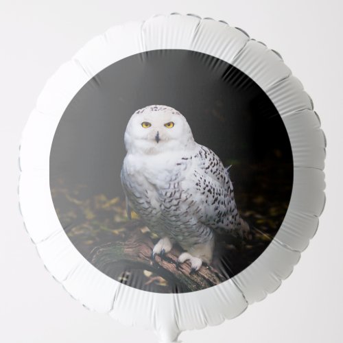 Majestic winter snowy owl balloon