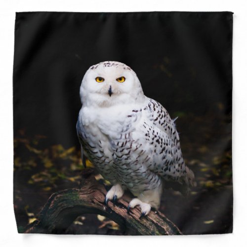 Majestic winter snowy owl bandana