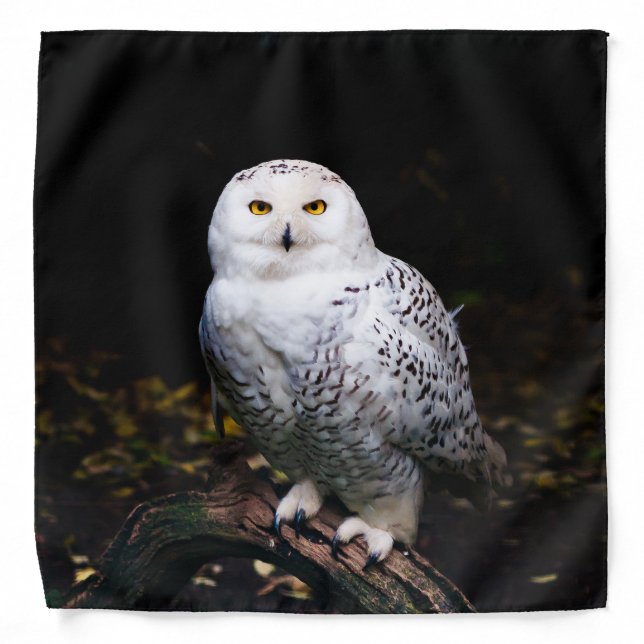 Majestic winter snowy owl bandana (Front)