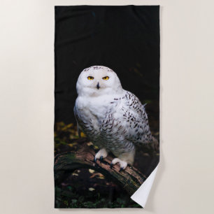 Majestic winter snowy owl beach towel