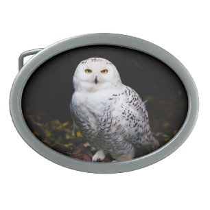 Majestic winter snowy owl belt buckle