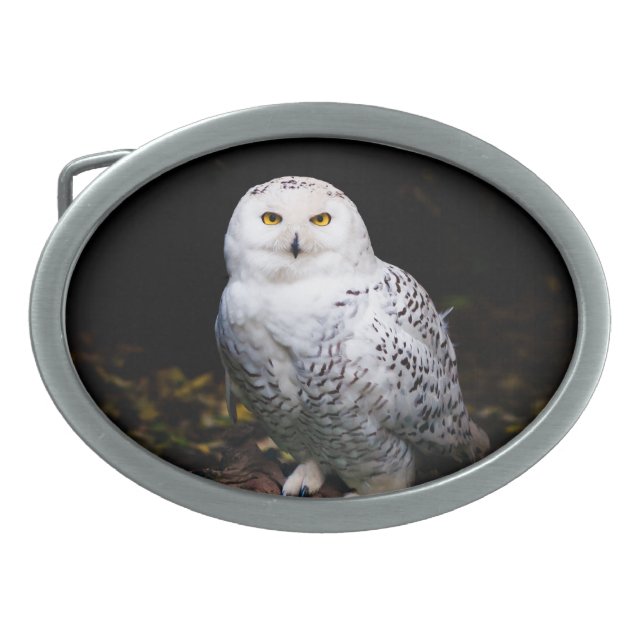Majestic winter snowy owl belt buckle (Front)