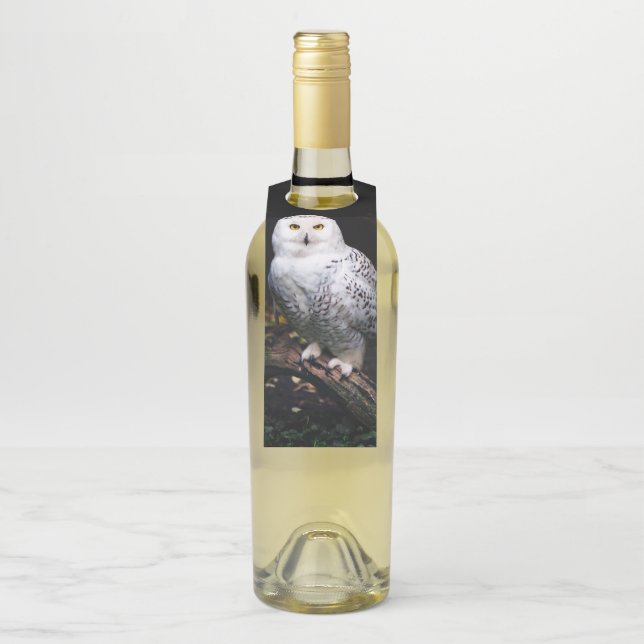 Majestic winter snowy owl bottle hanger tag (On Bottle)