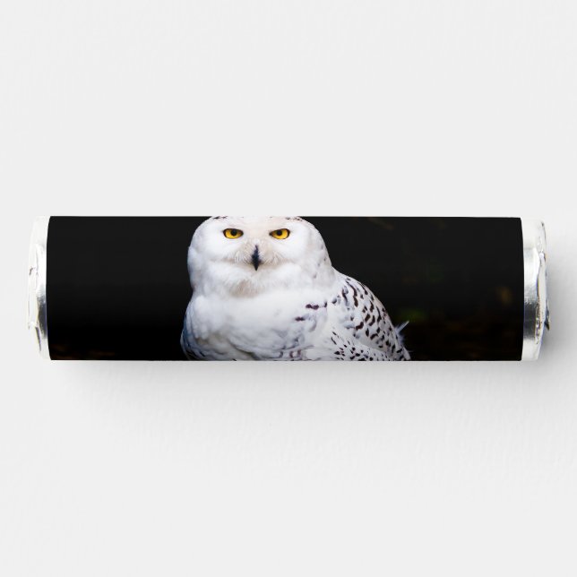 Majestic winter snowy owl breath savers® mints (Front)