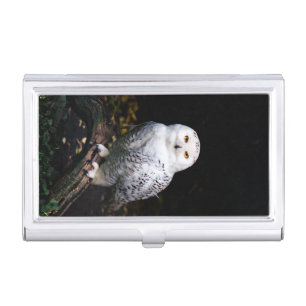 Majestic winter snowy owl business card case