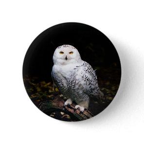 Majestic winter snowy owl button
