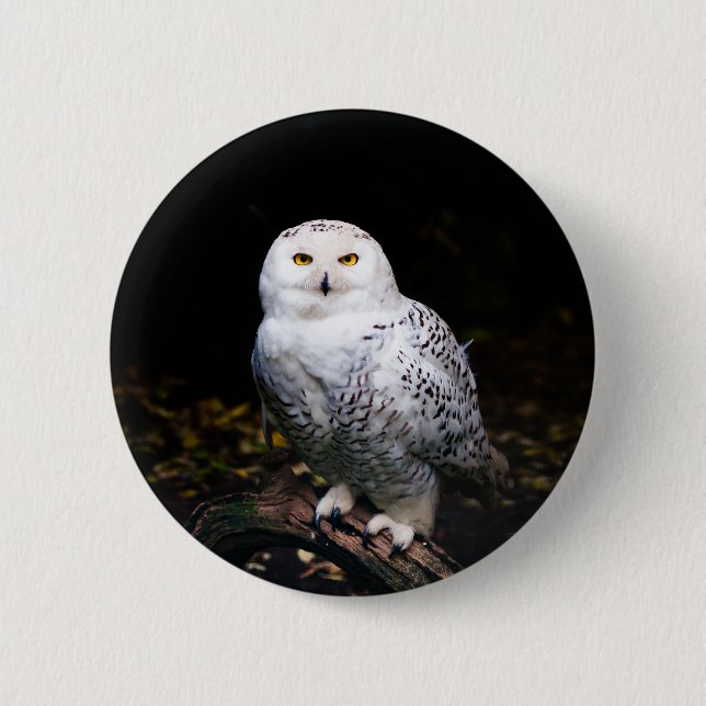 Majestic winter snowy owl button (Front)