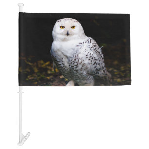 Majestic winter snowy owl car flag