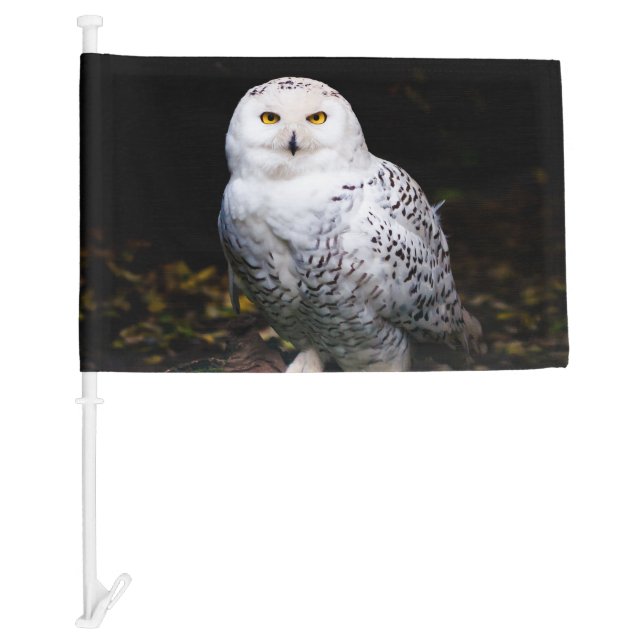 Majestic winter snowy owl car flag (Front)