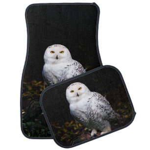Majestic winter snowy owl car floor mat