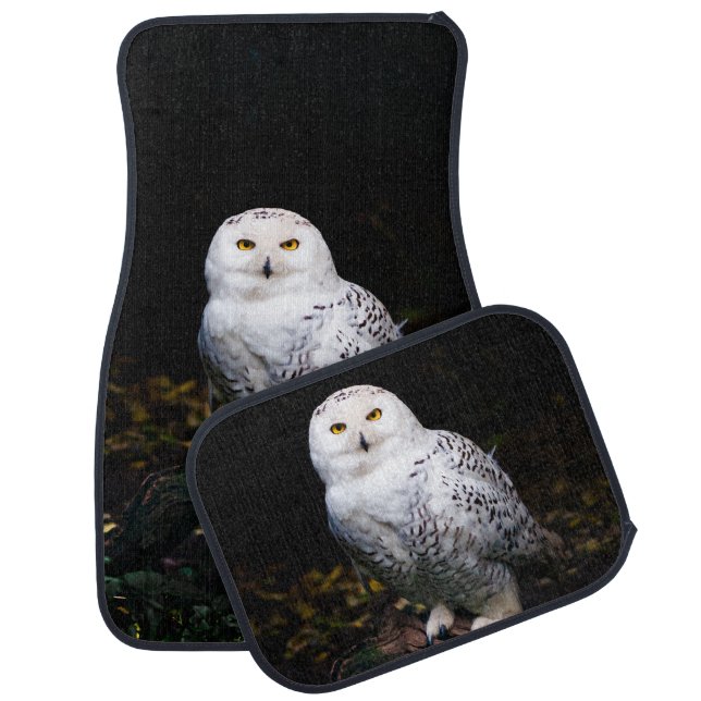 Majestic winter snowy owl car floor mat (Set)