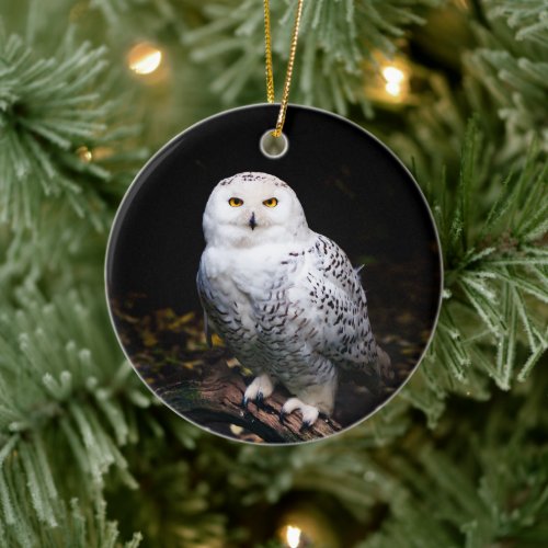 Majestic winter snowy owl ceramic ornament
