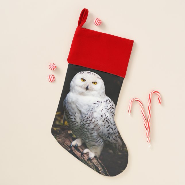 Majestic winter snowy owl christmas stocking (Front)