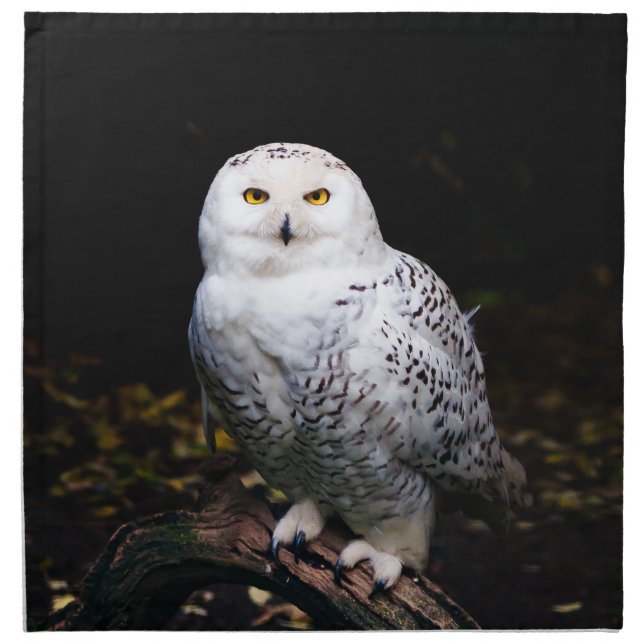 Majestic winter snowy owl cloth napkin (Front)