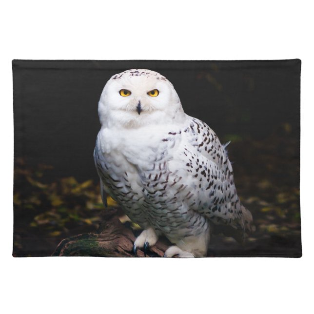 Majestic winter snowy owl cloth placemat (Front)