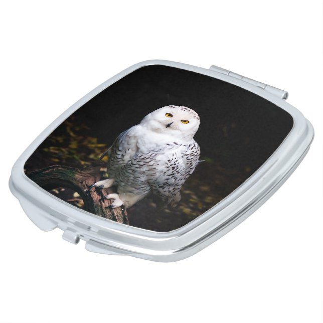 Majestic winter snowy owl compact mirror (Turned)