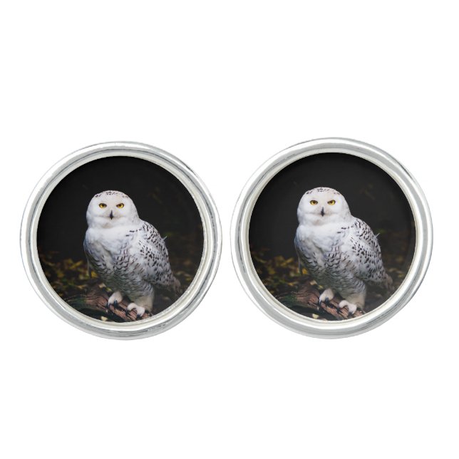 Majestic winter snowy owl cufflinks (Front)