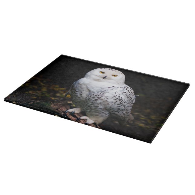 Majestic winter snowy owl cutting board (Corner)