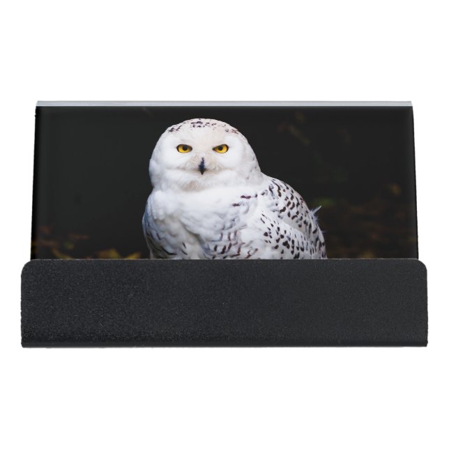 Majestic winter snowy owl desk business card holder (Front)