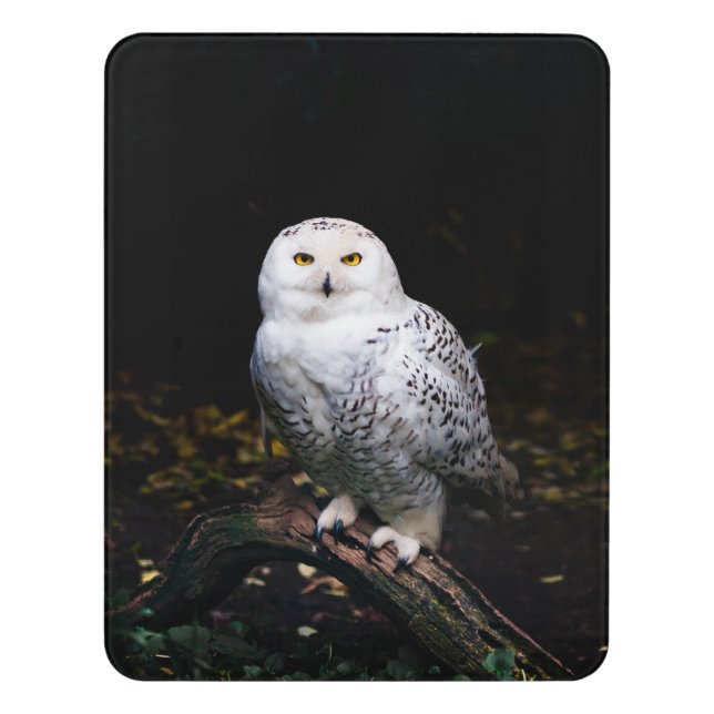 Majestic winter snowy owl door sign (Contemporary Vert)