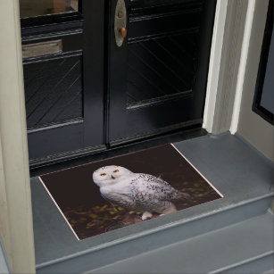 Buy: Winter Welcome – Doormat Winter Art Wildlife