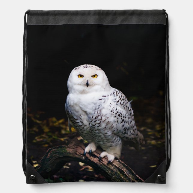 Majestic winter snowy owl drawstring bag (Front)