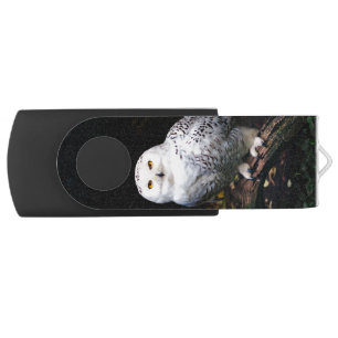 Majestic winter snowy owl flash drive