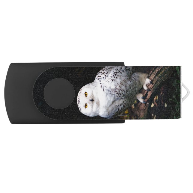 Majestic winter snowy owl flash drive (Front)
