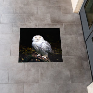 Majestic winter snowy owl floor decals