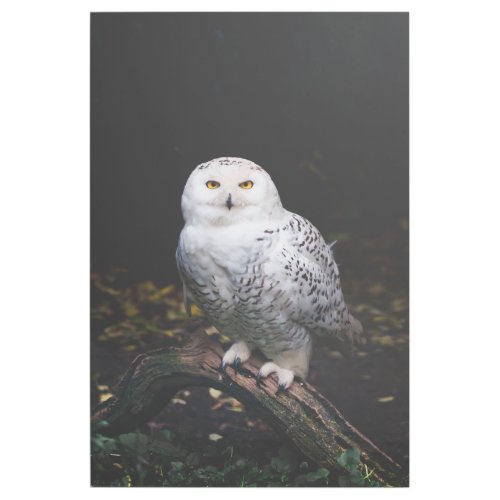 Majestic winter snowy owl gallery wrap