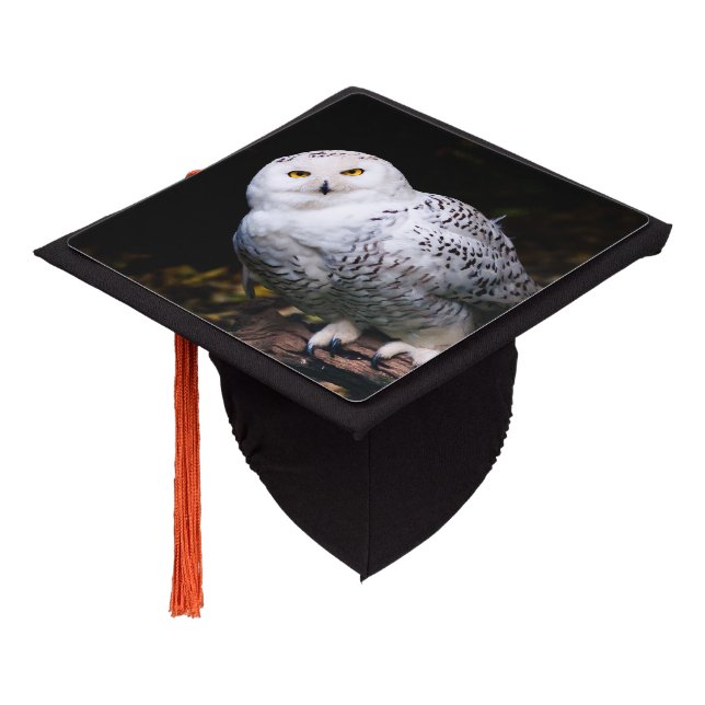 Majestic winter snowy owl graduation cap topper (Angled)