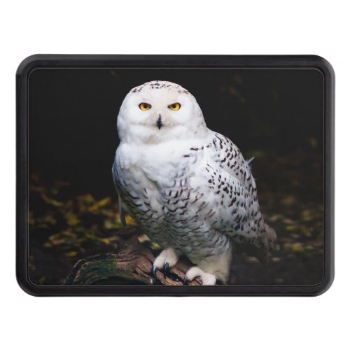 Majestic winter snowy owl hitch cover
