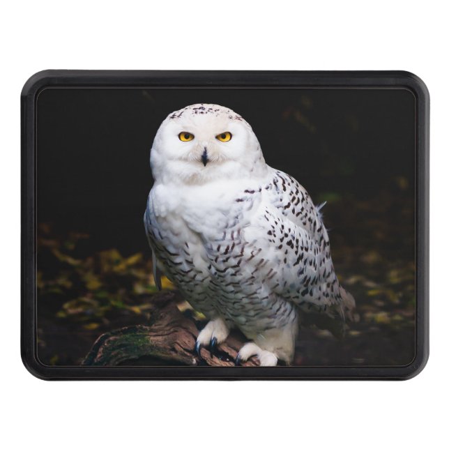 Majestic winter snowy owl hitch cover (Front)