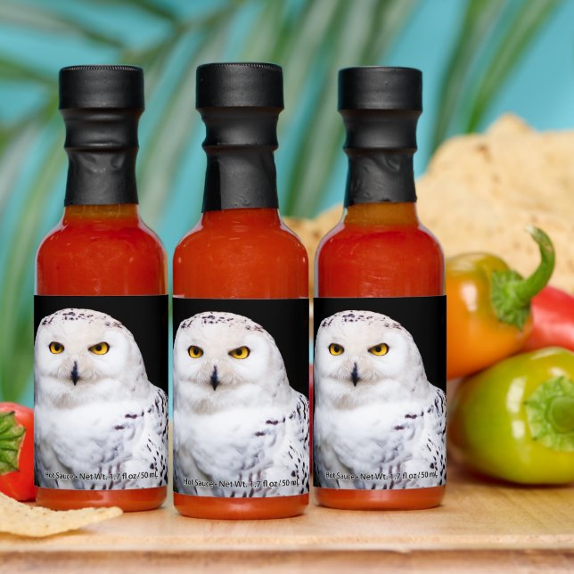 Majestic winter snowy owl hot sauces (Multi)